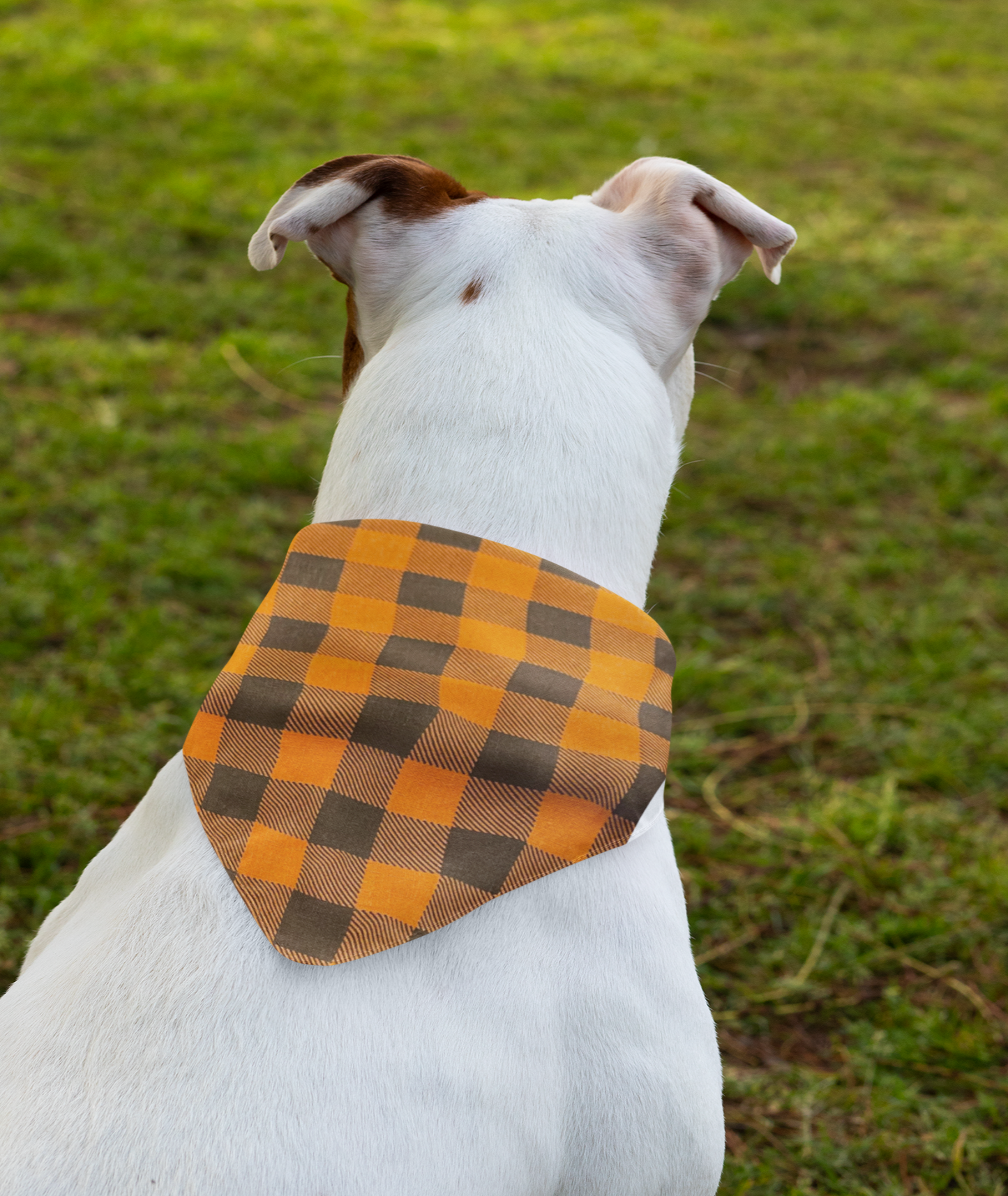 Bandanas