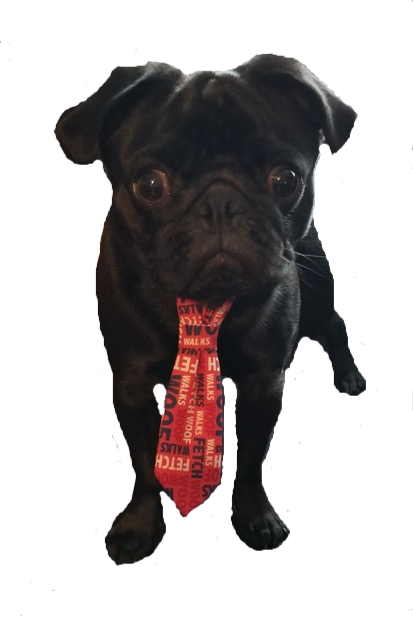 The Dapper Doggie Tie